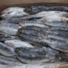 Sardine - Image 11